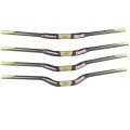 intre 35mm Fatbar Lite Carbone 35 mm - PureBike -