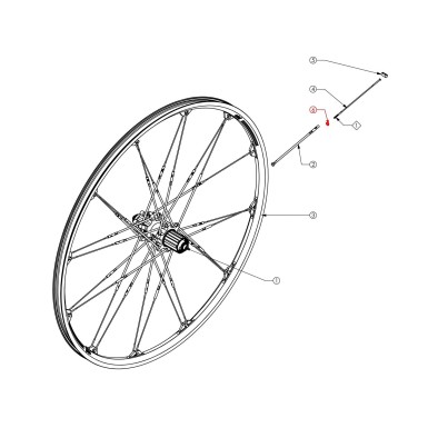 Rondelles de tête de rayon - Purebike