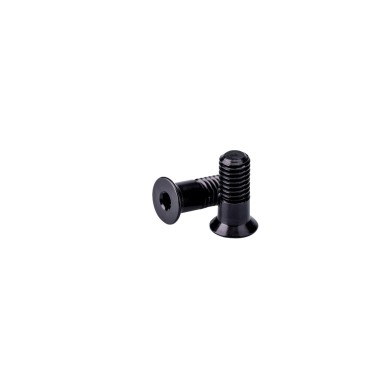 Garbaruk Kit vis pour galets de dérailleur 11/12 vitesses - Purebike