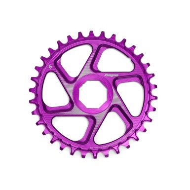 Hope Plateau Retainer Ring R22 Spiderless E-Bike Brose - Violet - Purebike