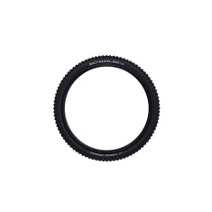 Schwalbe Magic Mary Evolution Tubeless Easy 29"