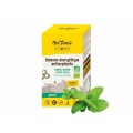Meltonic Boisson Energétique Antioxydante Bio saveur Menthe - Purebike