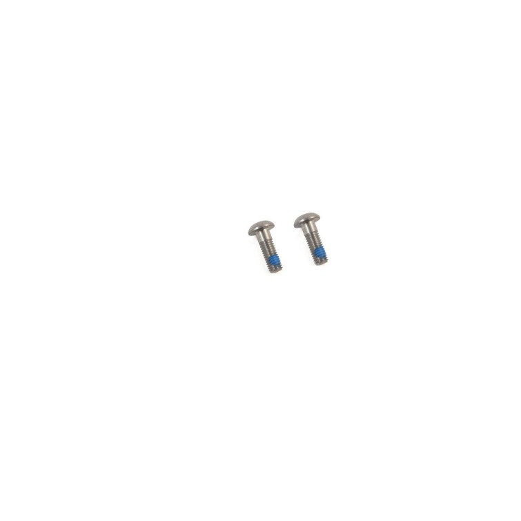 Vis acier pour adaptateur Flat Mount (X2)