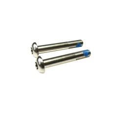 Sram Steel bolts for Flat Mount adapter (X2)