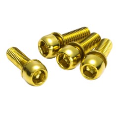 Vis M6 pour étrier de frein (X4)