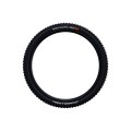 Schwalbe Pneu Tacky Chan Evolution Tubeless Easy 29" - Purebike