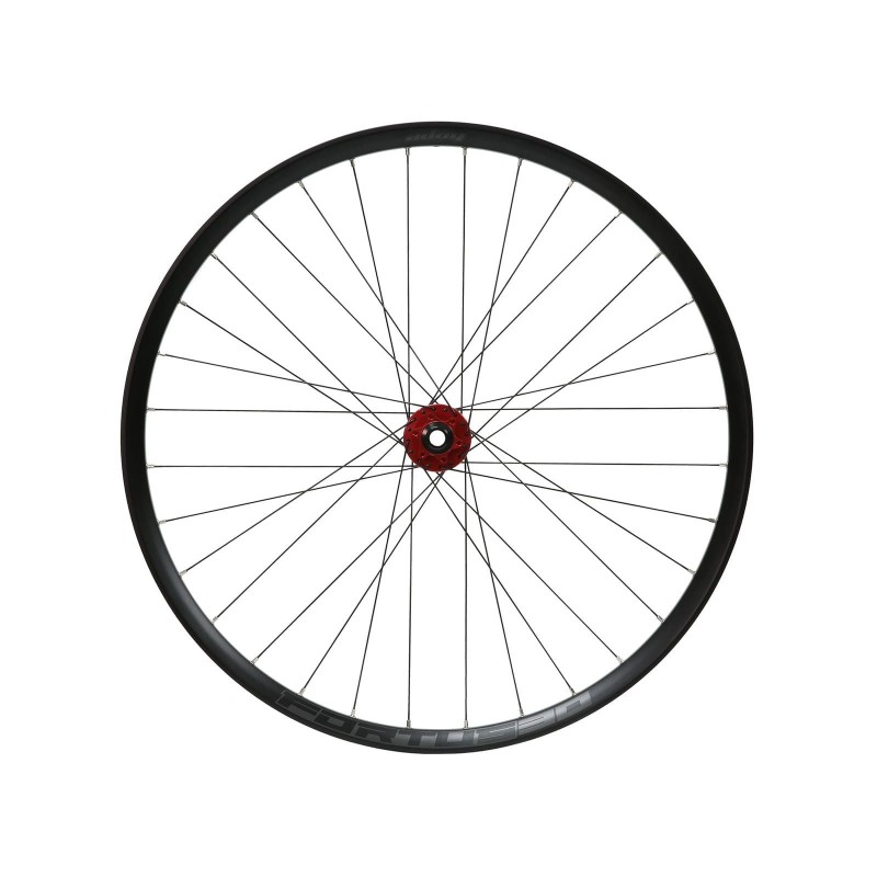 Hope Roue avant Fortus 30 Pro 5 Rouge 29'' - Purebike