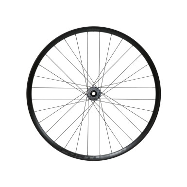 Hope Roue avant Fortus 30 Pro 5 Argent 29'' Boost - Purebike