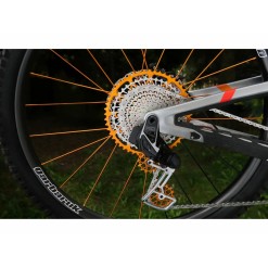 Cassette 12 vitesses MTB Gen 2 pour Eagle Transmission T-Type - Orange