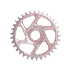 Hope Plateau Retainer Ring R22 Spiderless E-Bike Bosch - Argent - Purebike