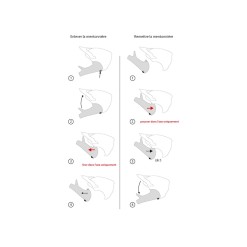 Urge Casque Gringo de la Pampa Rouge - Purebike