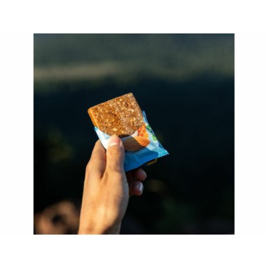 Meltonic Barre énergétique Pur'Bar Bio saveur Amande et Coco - Purebike