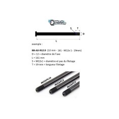 Black Bearing Axe avant F12.5 - L119 - M12x1 - 15 mm (Route) - Purebike