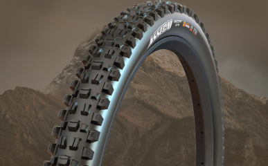 Pneus tubeless ready VTT