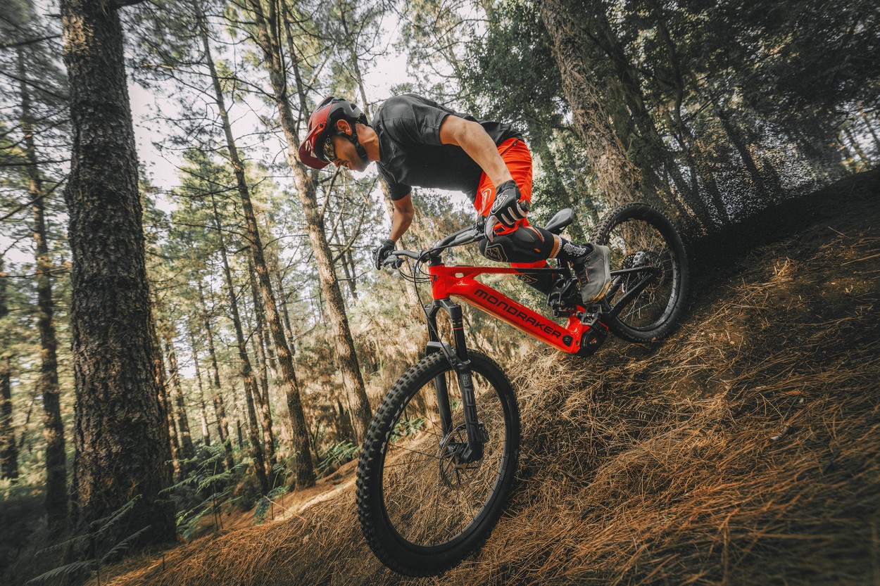 E-BIKE